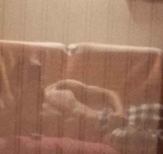 Profile of Francisco, 37, Gay dating in Alsip (Illinois)
